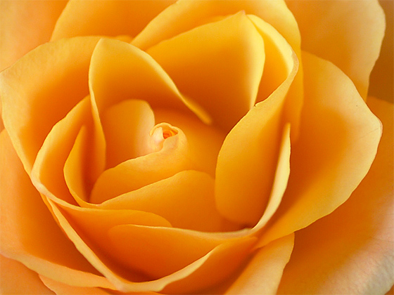 36.jpg - 126571 Bytes