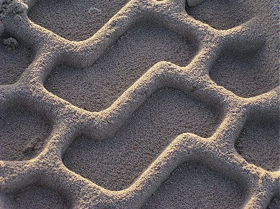 tracks on the beach