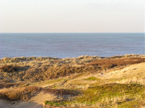arrival at the beach