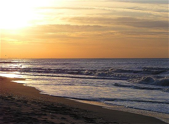 beach at sunset