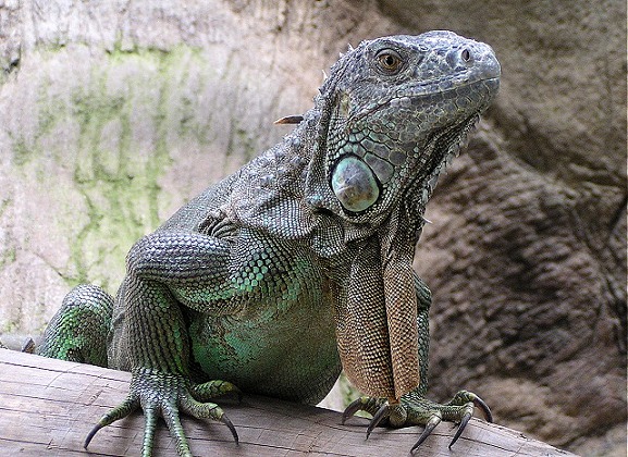 26.jpg - 119982 Bytes